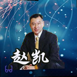 赵凯